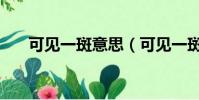 可見一斑意思(可見一斑是什么意思)
