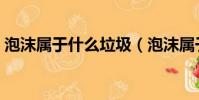 泡沫屬于什么垃圾(泡沫屬于什么垃圾分類)