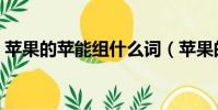 蘋果的蘋能組什么詞(蘋果的蘋能組哪些詞)