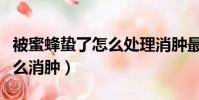 被蜜蜂蟄了怎么處理消腫最快(被蜜蜂蟄了怎么消腫)