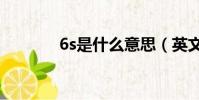 6s是什么意思(英文是什么)