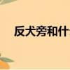 反犬旁和什么有關（反犬旁跟什么有關）