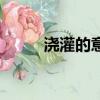 澆灌的意思（澆灌的意思是什么）