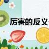 厲害的反義詞（和厲害意思相反的詞語）
