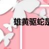 雄黃驅蛇是真的嗎（雄黃可以驅蛇嗎）