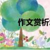 作文賞析怎么寫（作文賞析如何寫）