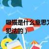 吸貓是什么意思為什么是犯法的（吸貓意思是什么為什么是犯法的）