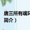 唐三所有魂環加魂骨介紹（唐三魂環加魂骨的簡介）