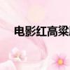 電影紅高粱劇情介紹（電影紅高粱簡介）