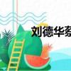 劉德華蔡鍔介紹（他有什么特點）