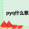 pyq什么意思網絡語（竟然指的是這個）