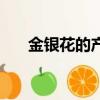 金銀花的產地（金銀花的產地是哪里）