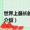 世界上最長的單詞是什么（世界上最長的單詞介紹）