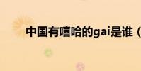 中國有嘻哈的gai是誰(gai的簡介)