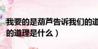我要的是葫蘆告訴我們的道理(我要的是葫蘆的道理是什么)