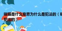 吸貓是什么意思為什么是犯法的(吸貓意思是什么為什么是犯法的)