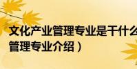 文化產業管理專業是干什么的(關于文化產業管理專業介紹)