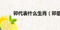 卯代表什么生肖(卯是什么生肖)