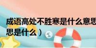 成語高處不勝寒是什么意思(高處不勝寒的意思是什么)
