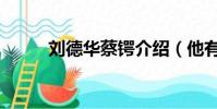 劉德華蔡鍔介紹(他有什么特點)