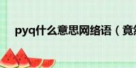 pyq什么意思網絡語(竟然指的是這個)