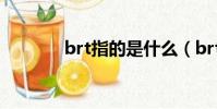brt指的是什么(brt是什么)