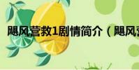 颶風營救1劇情簡介(颶風營救1劇情介紹)