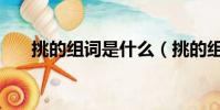 挑的組詞是什么(挑的組詞是怎樣的)