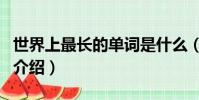 世界上最長的單詞是什么(世界上最長的單詞介紹)