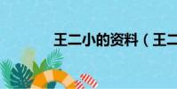 王二小的資料(王二小介紹)