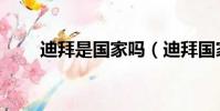 迪拜是國家嗎(迪拜國家還是城市)