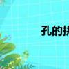 孔的拼音（孔的拼音如何寫）