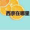 西京在哪里（西京是哪里的一個地方呢）