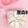 黑森林是什么（德國的山脈）