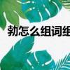 勃怎么組詞組2個字（勃如何組詞組2個字）