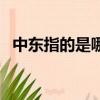 中東指的是哪些國家（中東包括哪些國家）