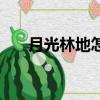 月光林地怎么去（月光林地路線介紹）
