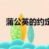 蒲公英的約定歌詞（蒲公英的約定周杰倫）