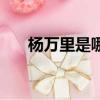 楊萬里是哪個朝代的（是南宋的詩人）