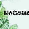 世界貿易組織的宗旨（大家可以了解一下）