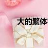 大的繁體字是什么（什么是繁體字）