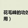 花毛峰的功效與作用（花毛峰有哪些功效與作用）