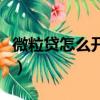 微粒貸怎么開通申請（微粒貸開通申請的方法）
