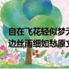 自在飛花輕似夢無邊絲雨細如愁的意思（自在飛花輕似夢無邊絲雨細如愁原文及釋義）