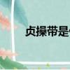貞操帶是什么（簡介貞操帶是什么）