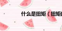 什么是扭矩(扭矩的含義)