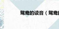 鴛鴦的讀音(鴛鴦的意思)