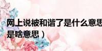 網上說被和諧了是什么意思(網上說被和諧了是啥意思)