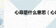 心扉是什么意思(心扉的意思)