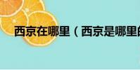 西京在哪里(西京是哪里的一個地方呢)